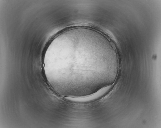 X0000090631172200708141428