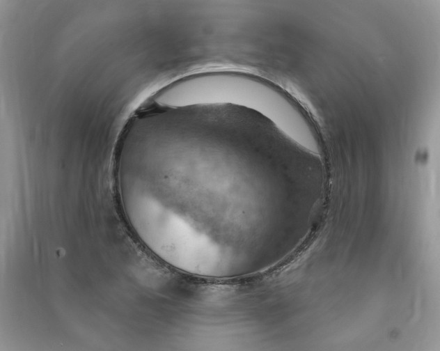 X0000090631173200708141428