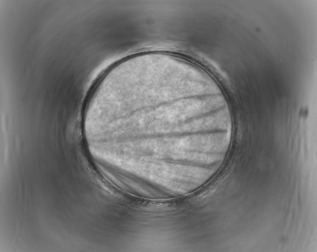 X0000090631174200708141428