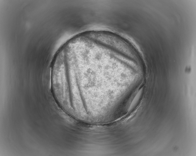 X0000090631175200708141428