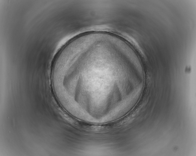 X0000090631176200708141428