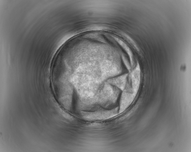 X0000090631178200708141428