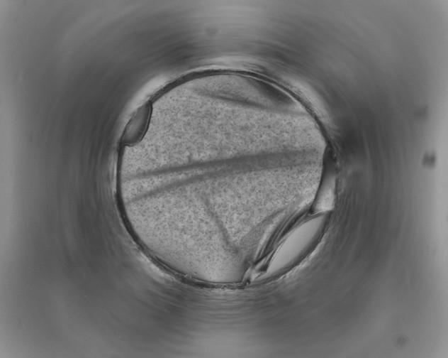 X0000090631180200708141428