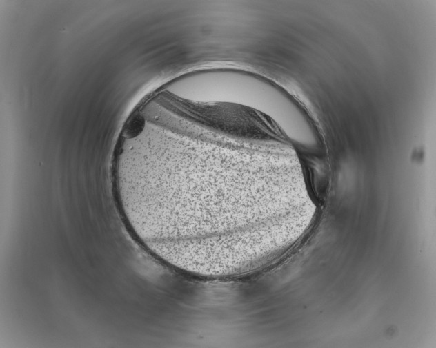 X0000090631181200708141428