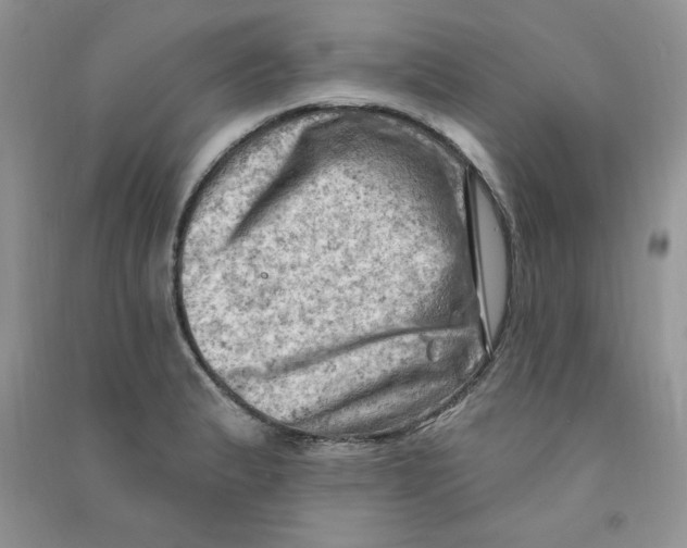 X0000090631183200708141428