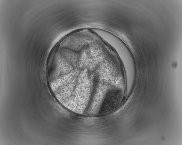 X0000090631184200708141428