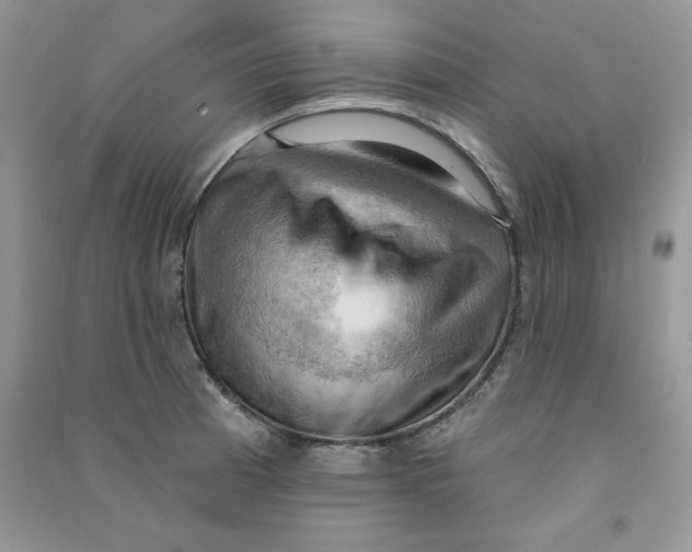 X0000090631185200708141428