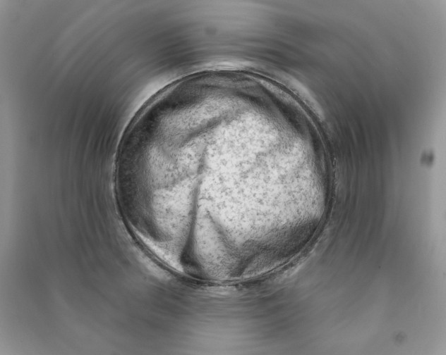X0000090631186200708141428