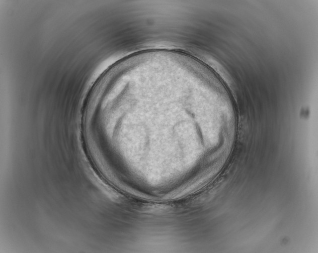 X0000090631187200708141428