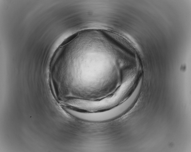 X0000090631188200708141428