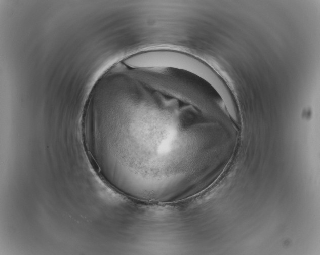 X0000090631189200708141428