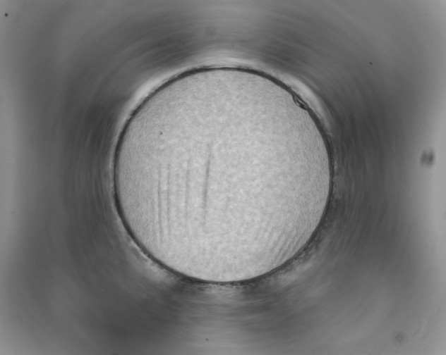 X0000090631191200708141428