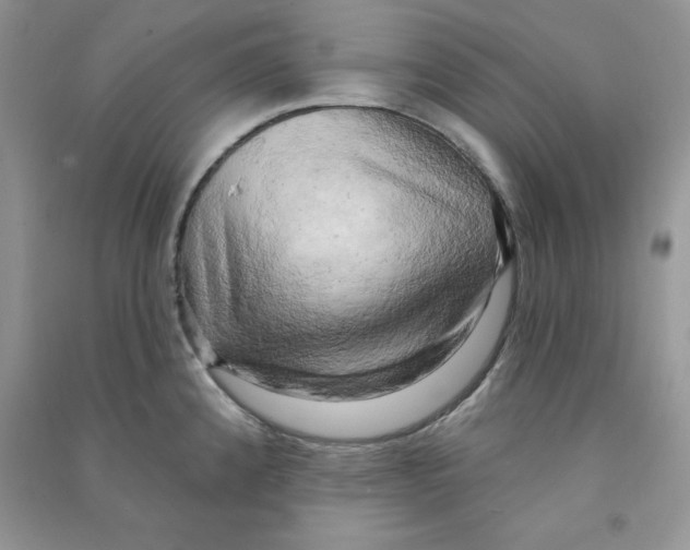 X0000090631192200708141428