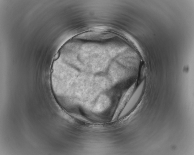 X0000090631194200708141428