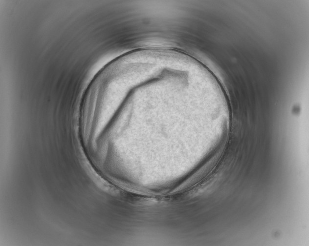 X0000090631195200708141428