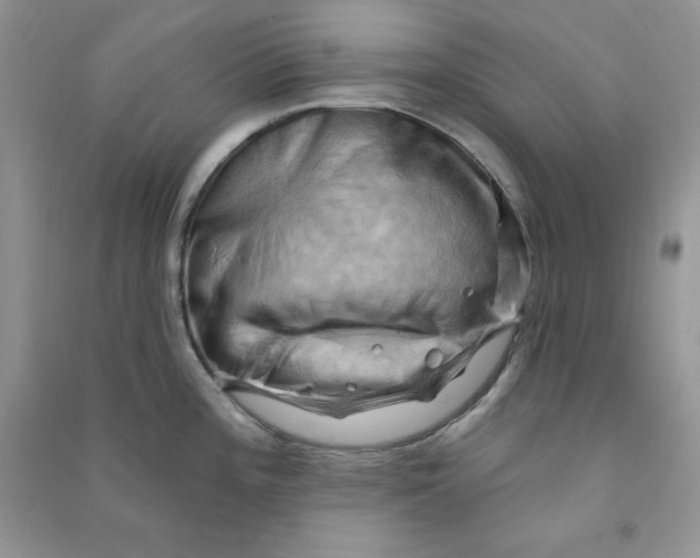 X0000090631196200708141427