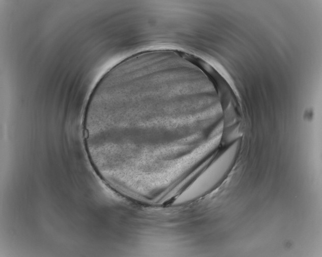 X0000090631197200708141427