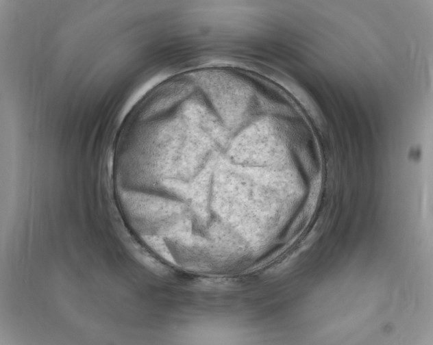 X0000090631198200708141427