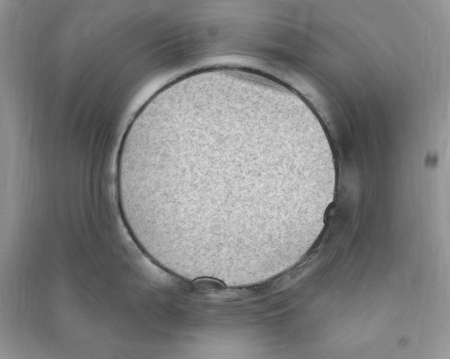 X0000090631199200708141427
