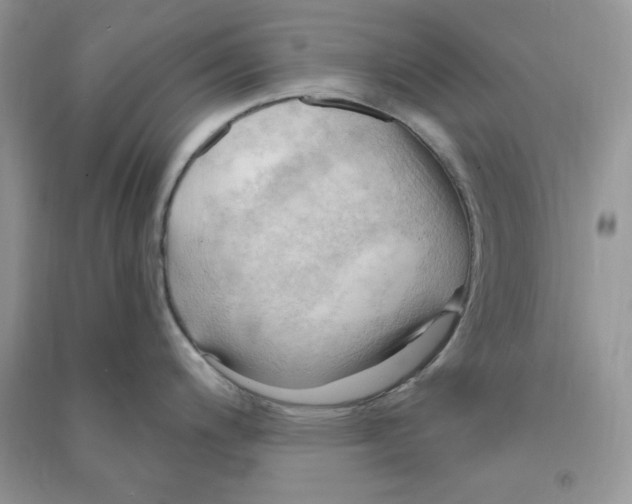 X0000090631200200708141427