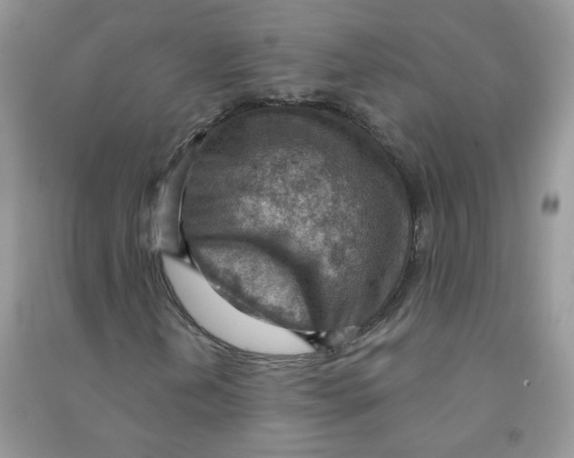 X0000090631202200708141427