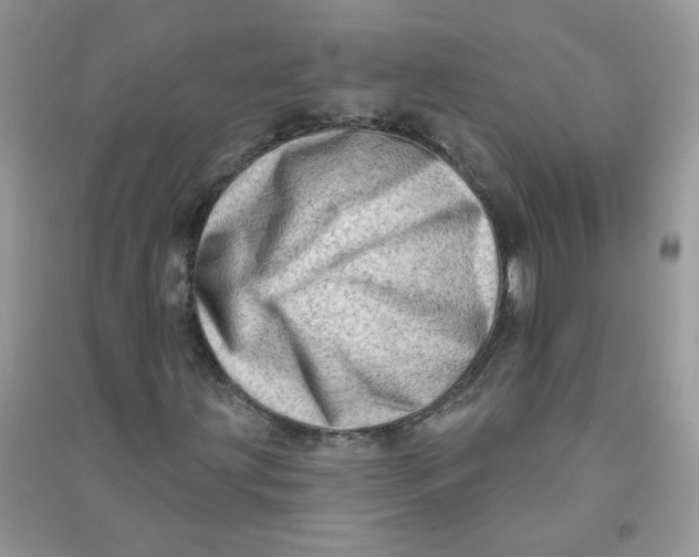 X0000090631203200708141427