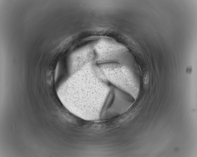 X0000090631204200708141427