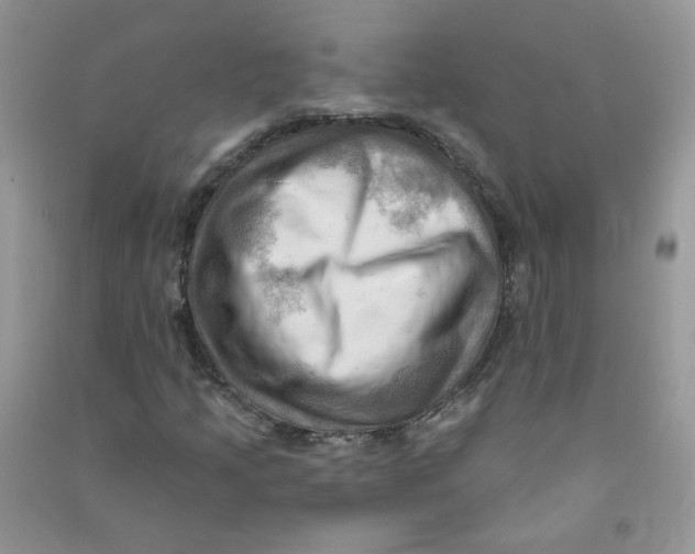 X0000090631205200708141427