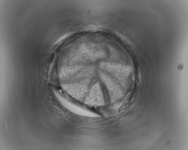 X0000090631206200708141427