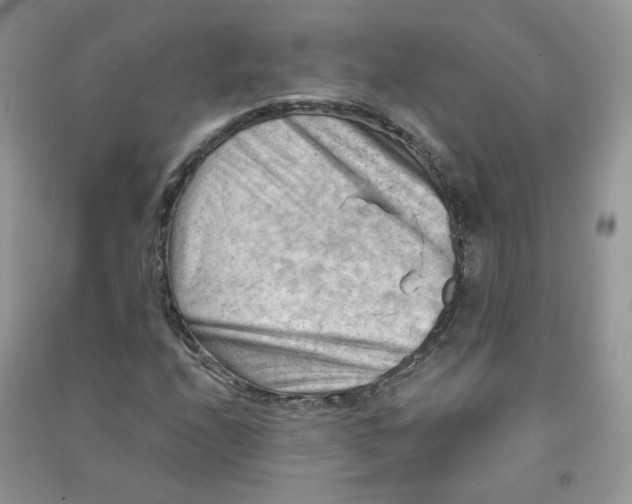 X0000090631208200708141427