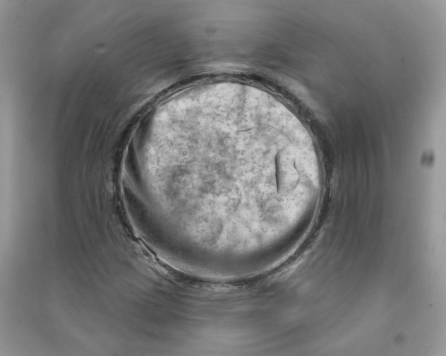 X0000090631209200708141427