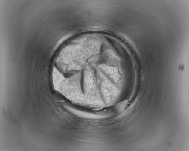 X0000090631210200708141427