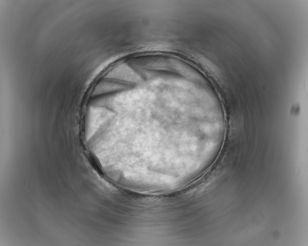 X0000090631212200708141427