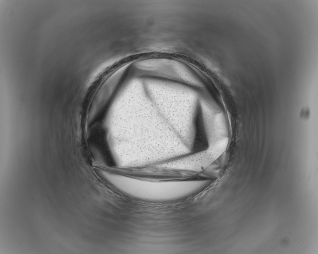 X0000090631214200708141427
