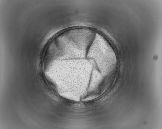X0000090631215200708141427
