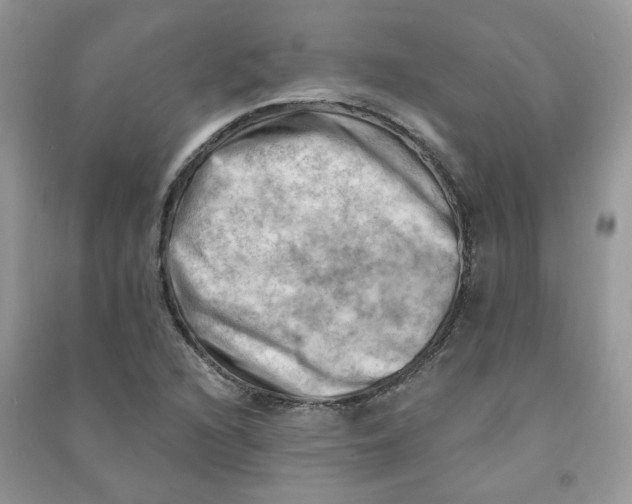 X0000090631216200708141427