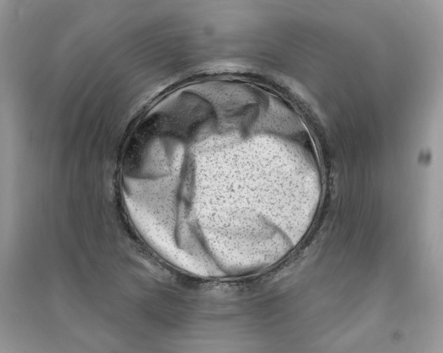 X0000090631217200708141427