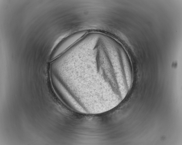 X0000090631218200708141427