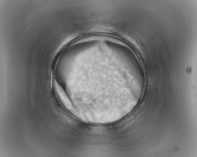 X0000090631219200708141427