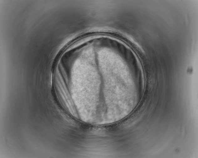 X0000090631221200708141427
