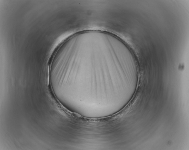 X0000090631223200708141427