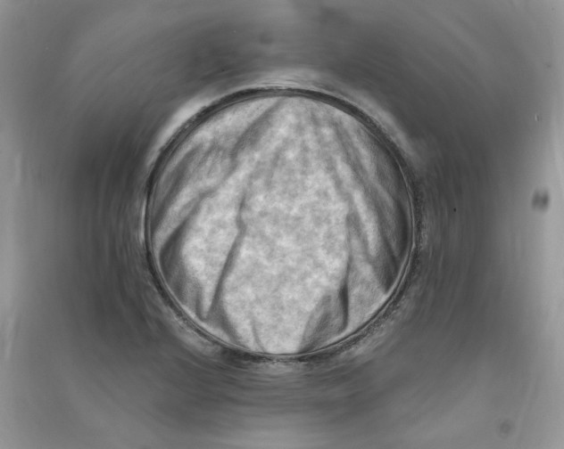 X0000090631224200708141427
