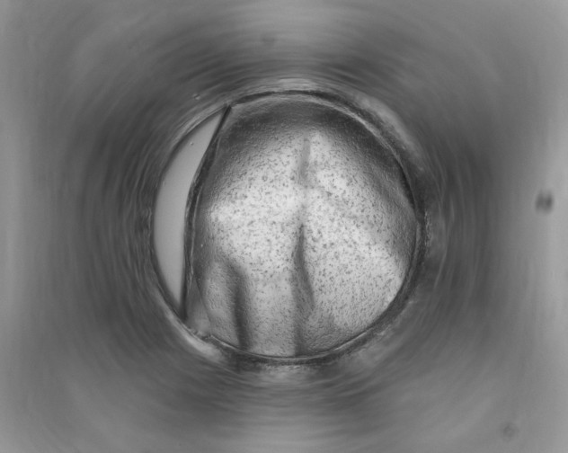 X0000090631225200708141427