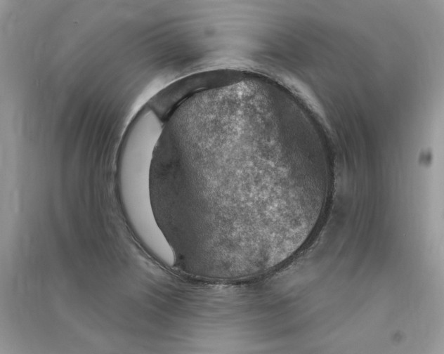 X0000090631226200708141427