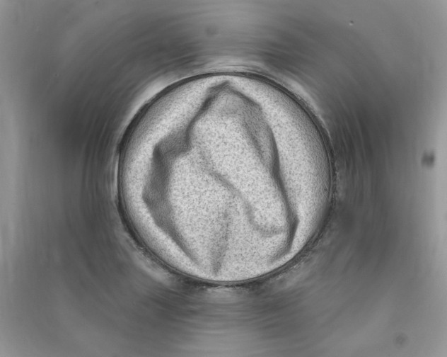 X0000090631227200708141427