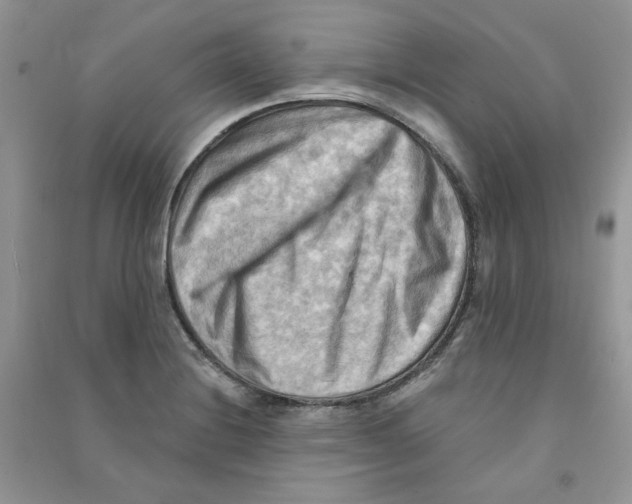 X0000090631228200708141427