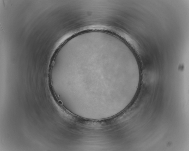 X0000090631229200708141427