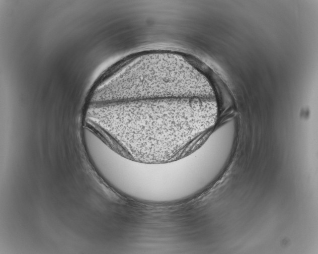 X0000090631230200708141427