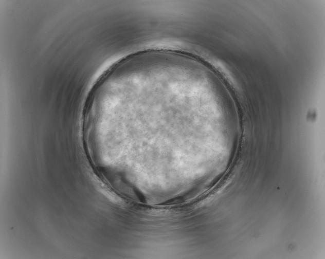 X0000090631232200708141427