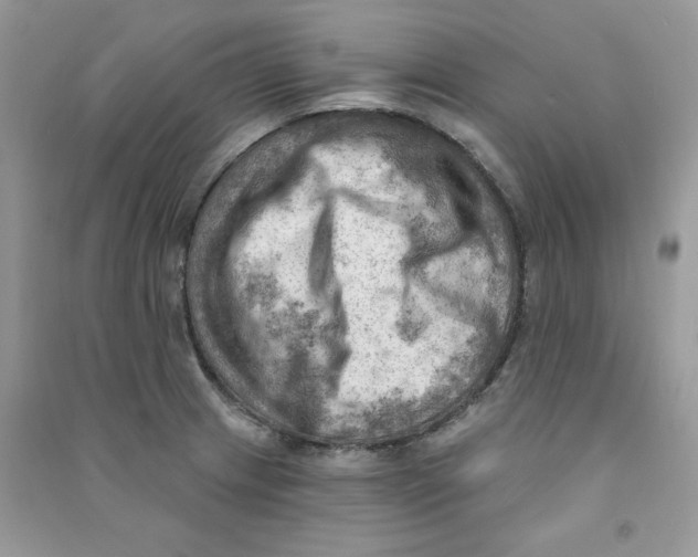 X0000090631233200708141427